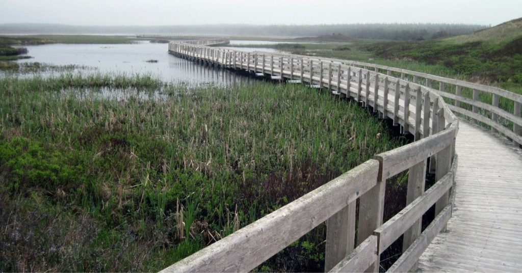 Prince Edward Island