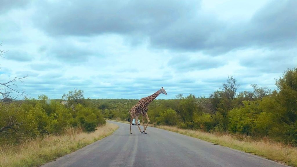 Kruger National Park