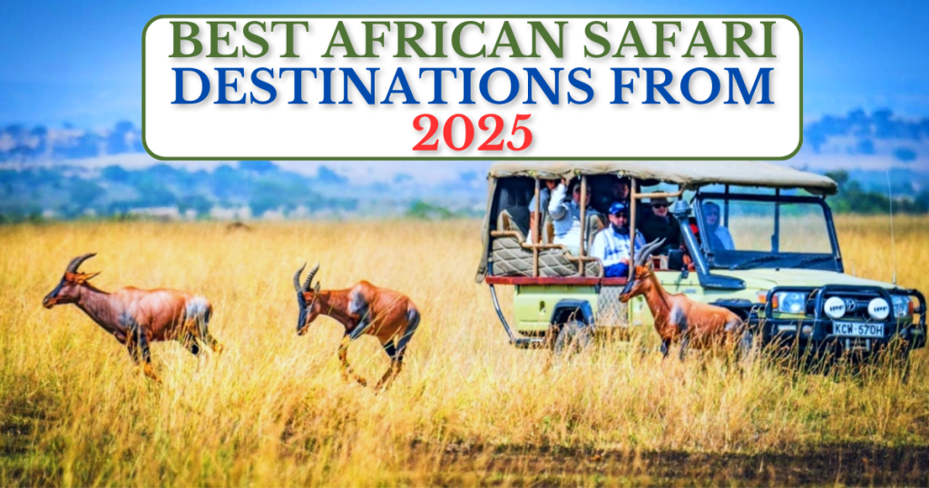 Best African Safari Destinations From 2025