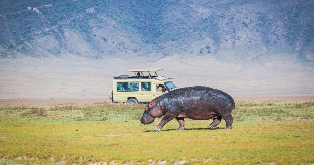 The Ngorongoro Crater