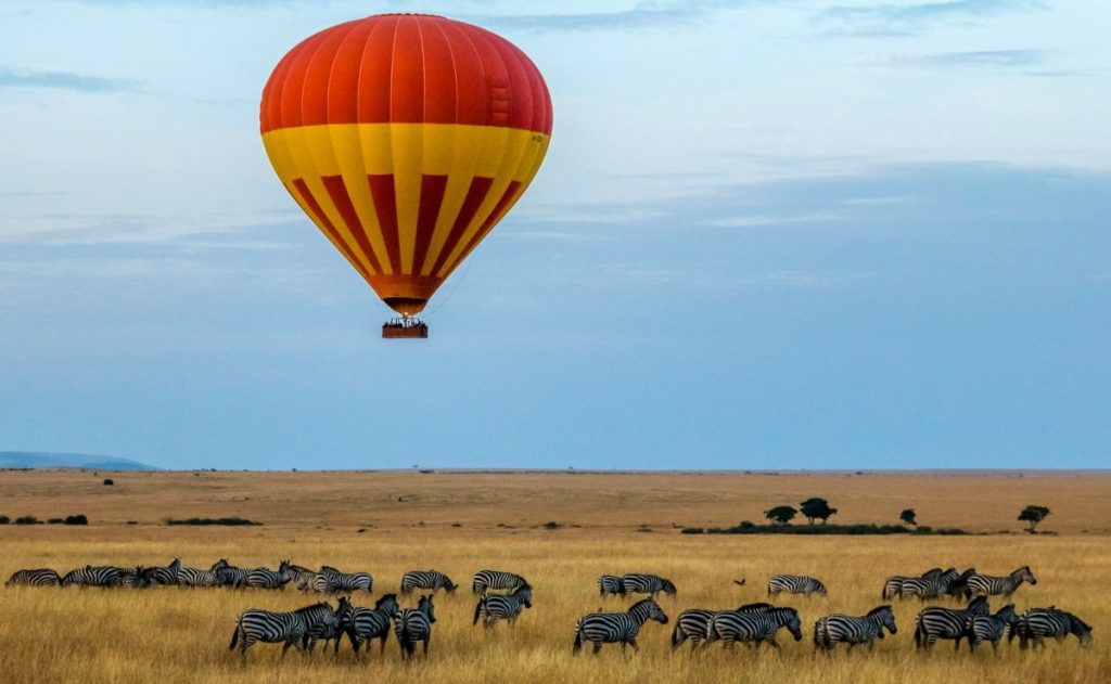 Best African Safari Destinations From 2025