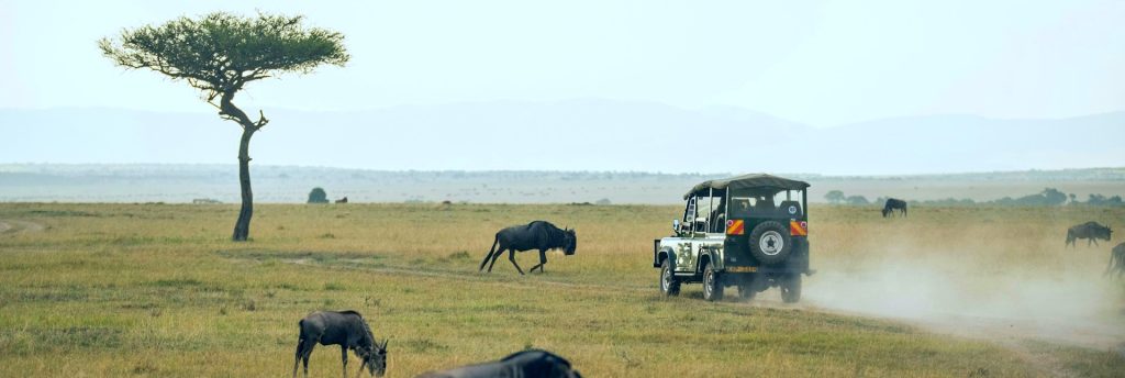 Best African Safari Destinations From 2025