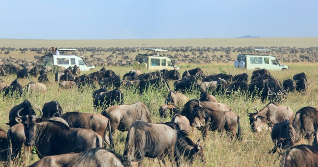 Serengeti National Park. Best African Safari Destinations