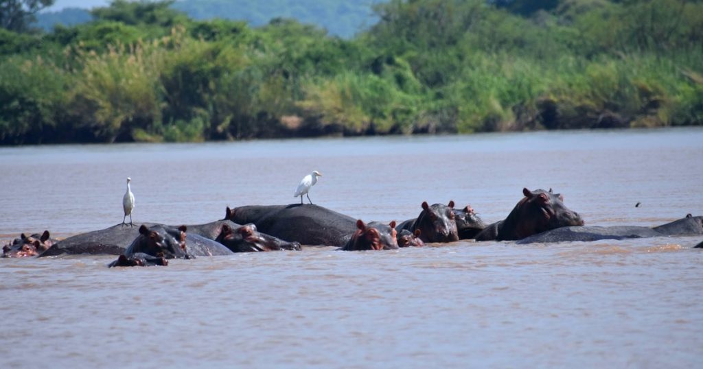 Zambezi River