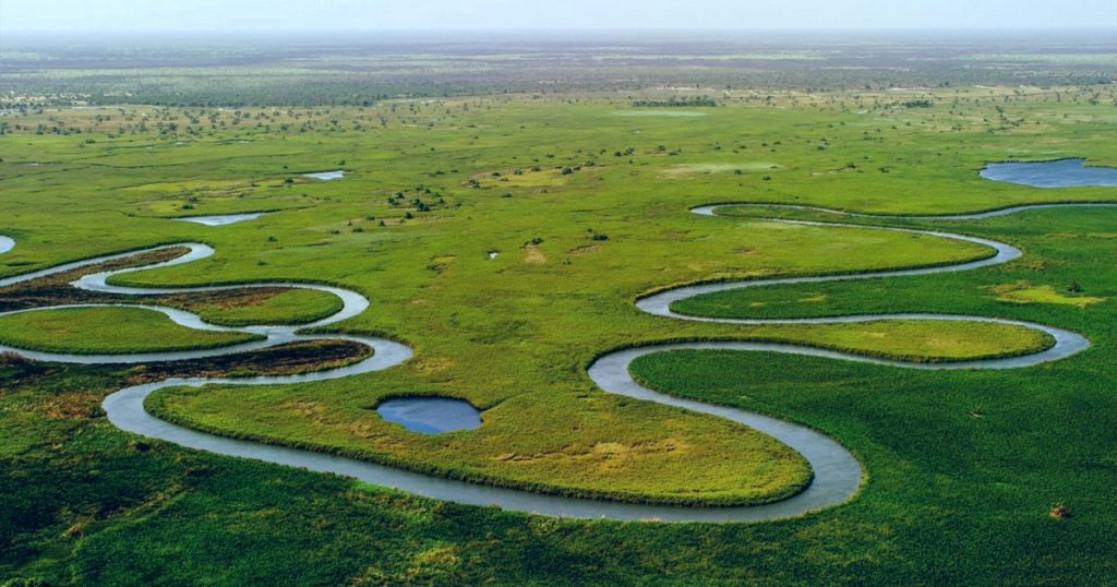 Okavango Delta