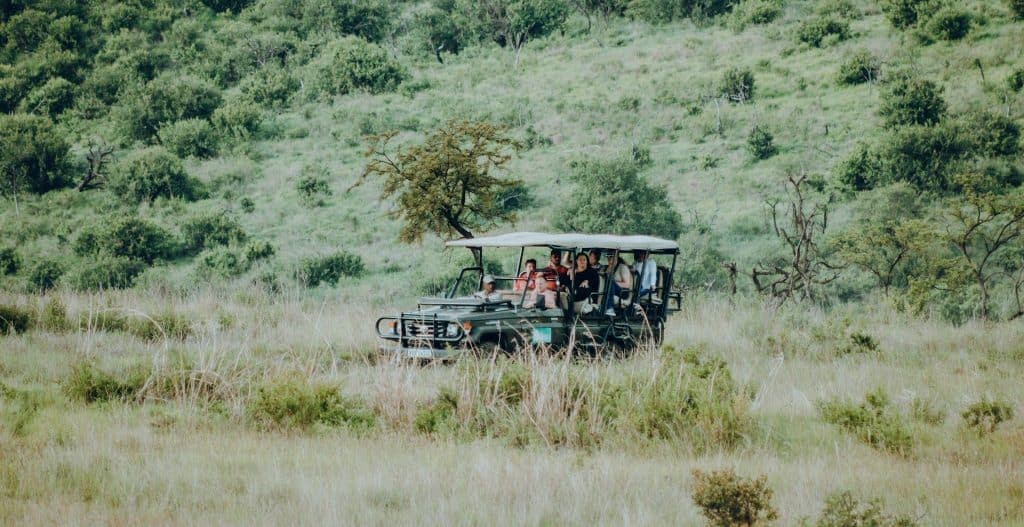 Safari Trip