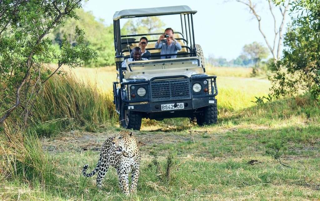 Best African Tours & Safaris 2025