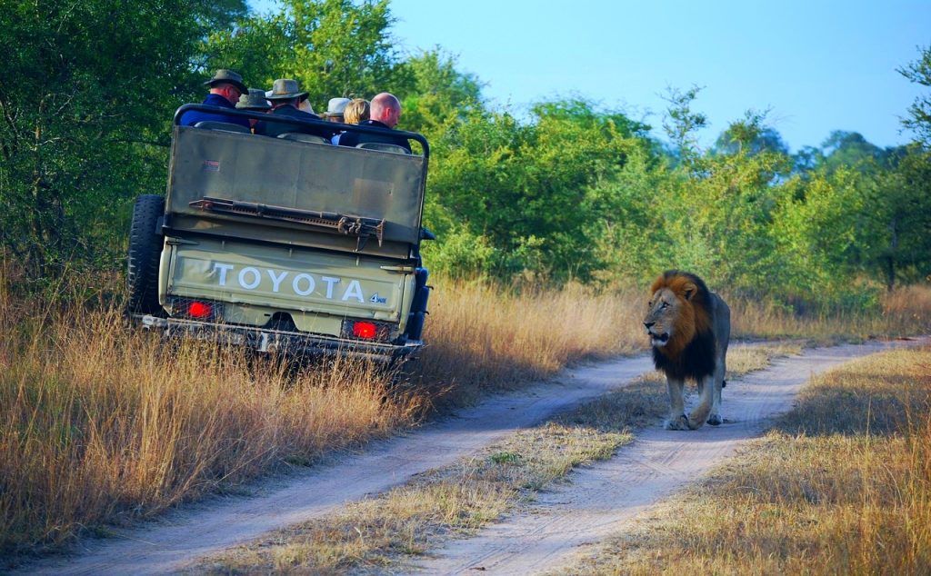 Best African Tours & Safaris 2025